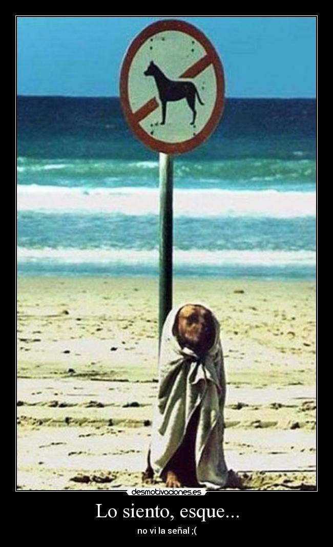 Lo siento, esque... - 