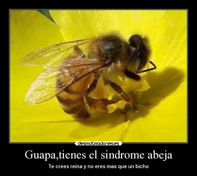 Guapa,tienes el sindrome abeja -