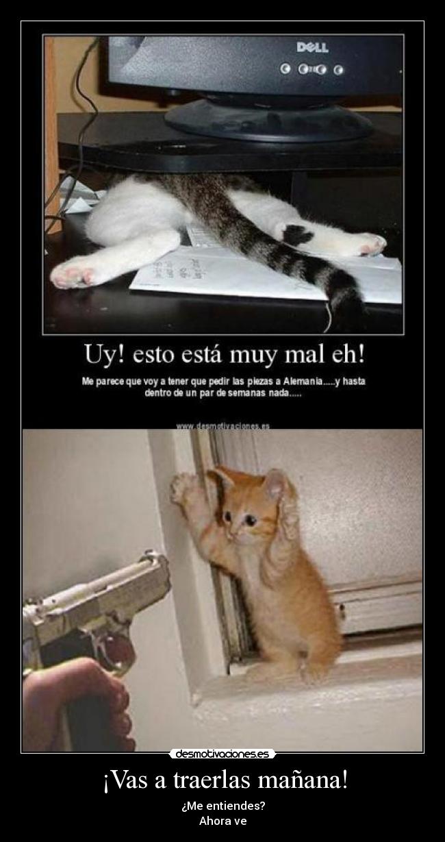 ¡Vas a traerlas mañana! -