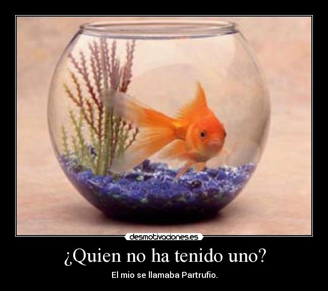 ¿Quien no ha tenido uno? - 