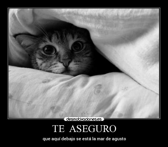 carteles aseguro que aqui debajo esta mar agusto desmotivaciones