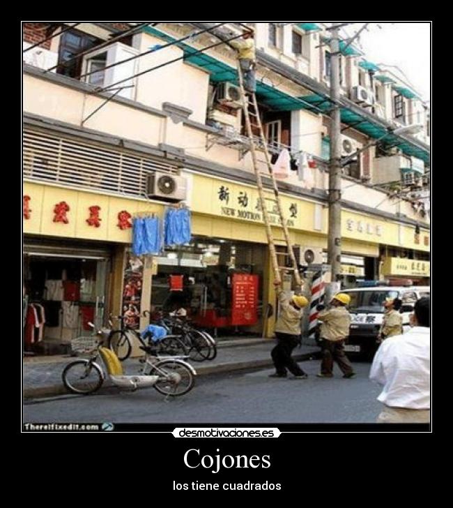 Cojones - los tiene cuadrados