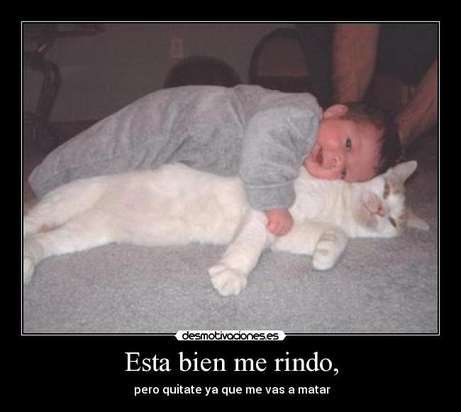 Esta bien me rindo, - 