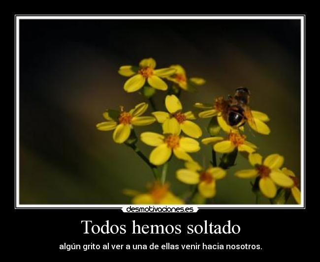 Todos hemos soltado - algún grito al ver a una de ellas venir hacia nosotros.