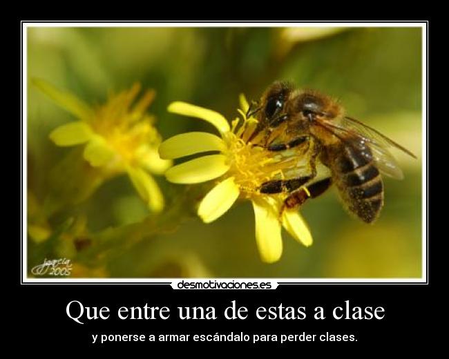 Que entre una de estas a clase -