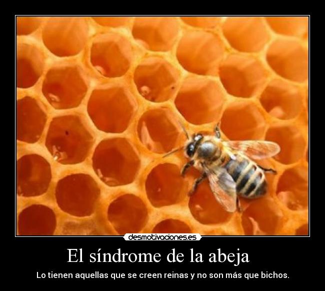 El síndrome de la abeja -