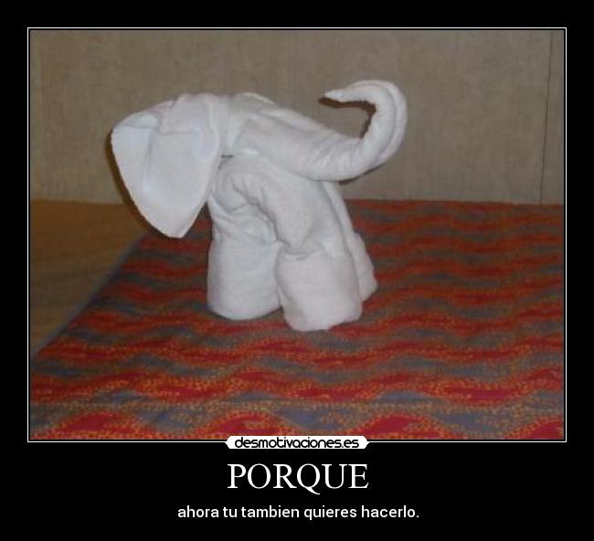 PORQUE -