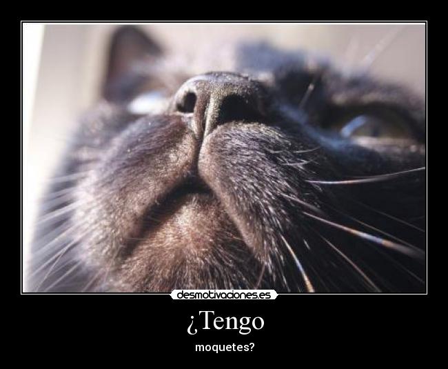 ¿Tengo -