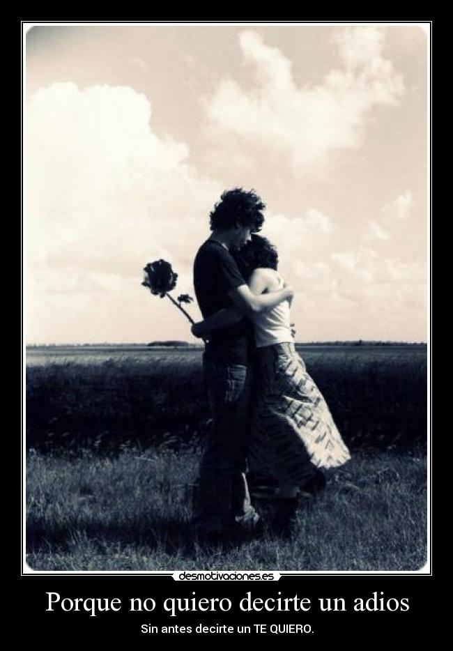 carteles adios desmotivaciones