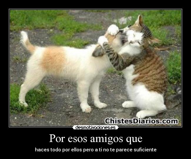 Por esos amigos que - 