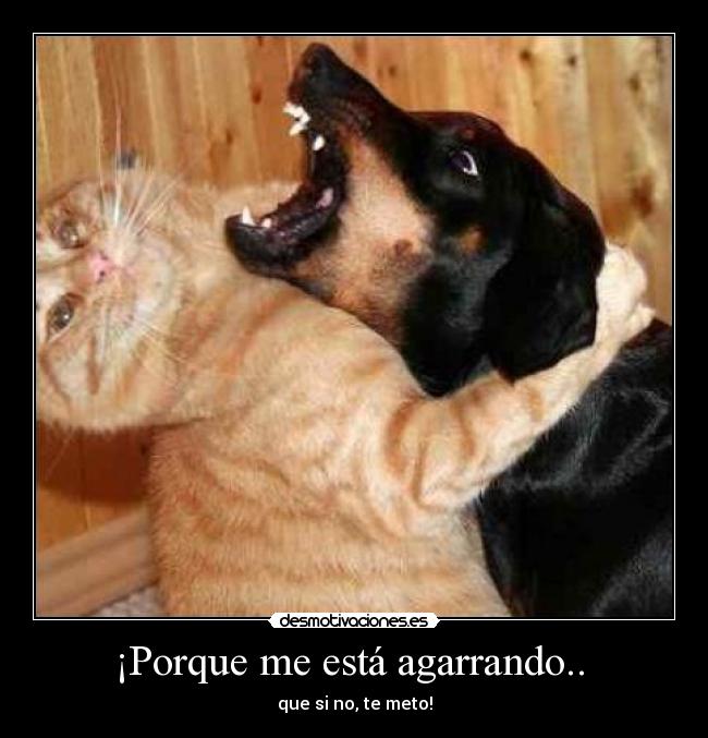 ¡Porque me está agarrando.. - que si no, te meto!