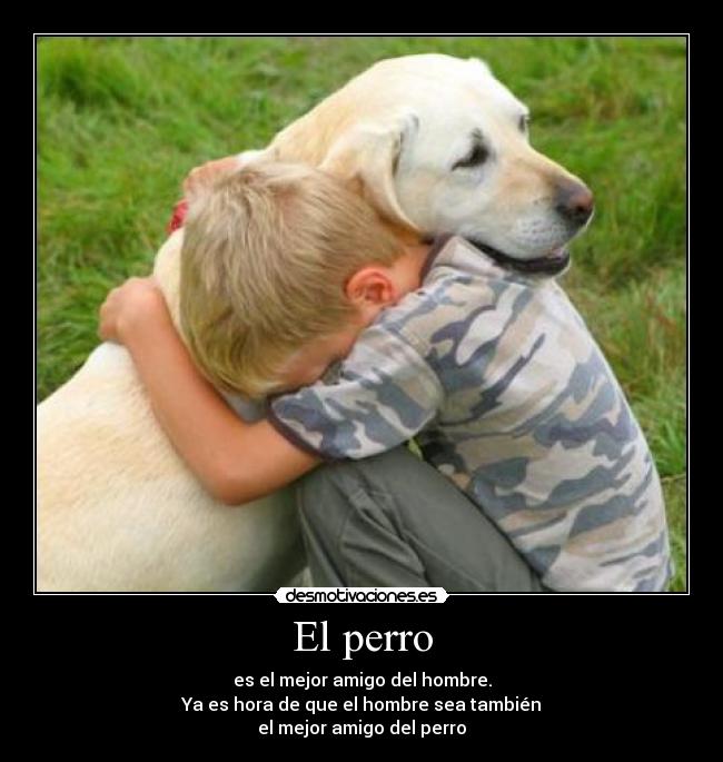 El perro - es el mejor amigo del hombre.
Ya es hora de que el hombre sea también
el mejor amigo del perro