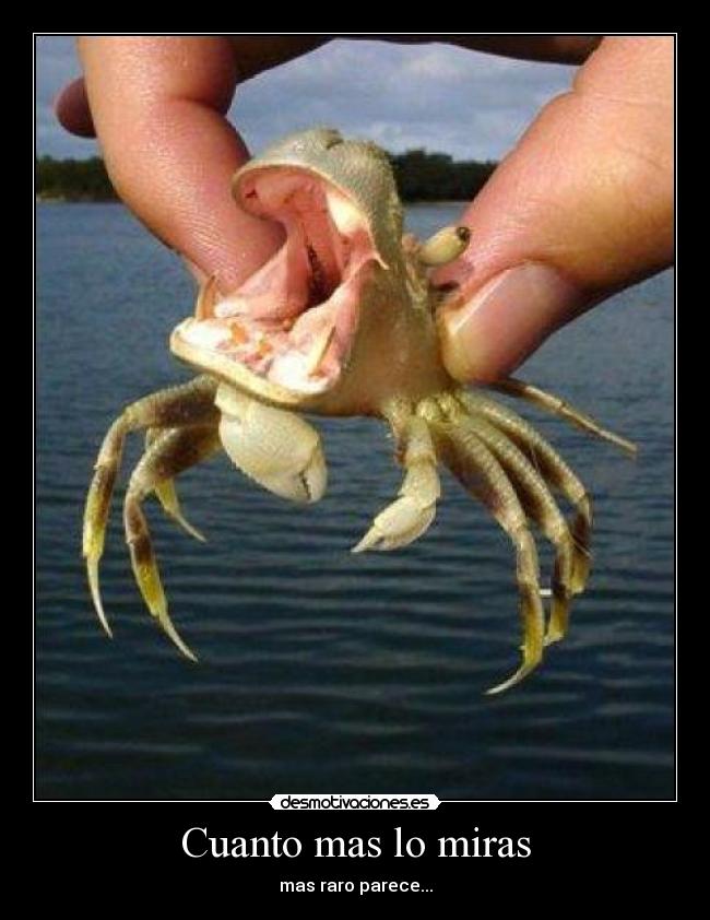 Cuanto mas lo miras -