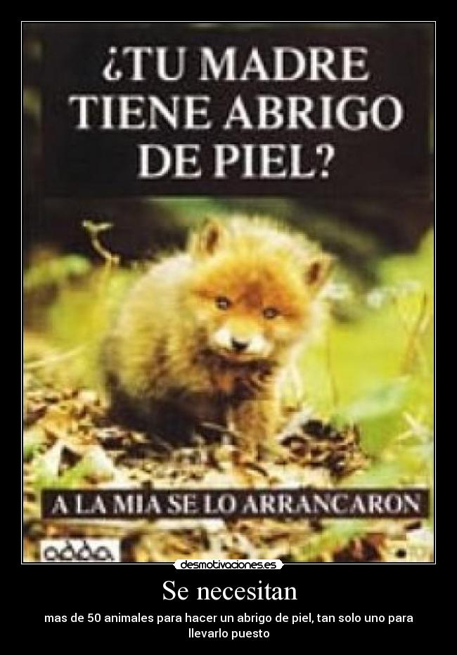 Se necesitan - mas de 50 animales para hacer un abrigo de piel, tan solo uno para llevarlo puesto