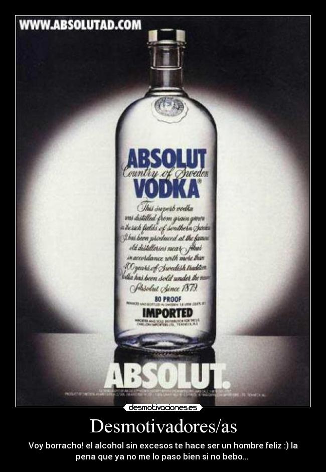 Desmotivadores/as - Voy borracho! el alcohol sin excesos te hace ser un hombre feliz :) la
pena que ya no me lo paso bien si no bebo...