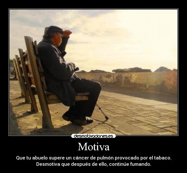 Motiva - 