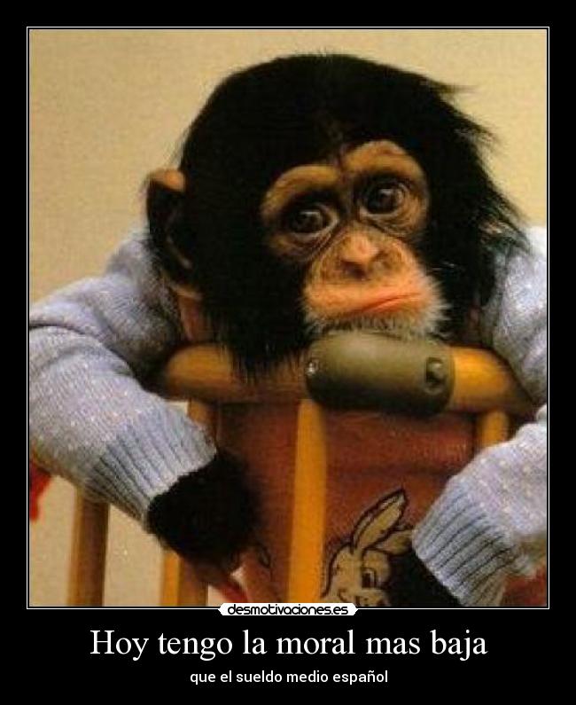 Hoy tengo la moral mas baja - 