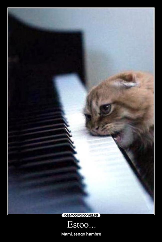 carteles gato comiendo piano desmotivaciones