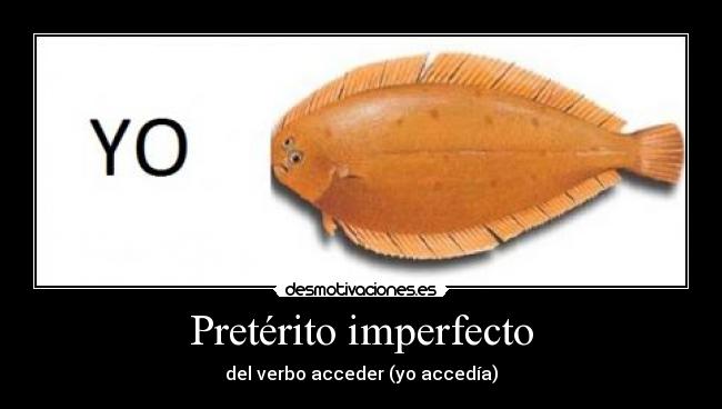 Pretérito imperfecto - del verbo acceder (yo accedía)