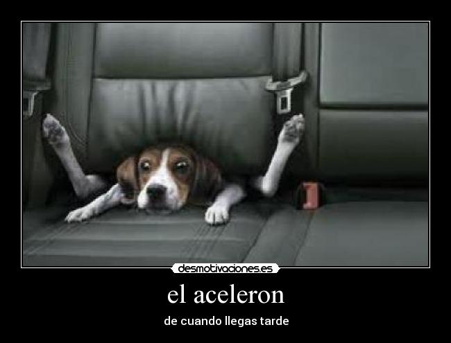 el aceleron -