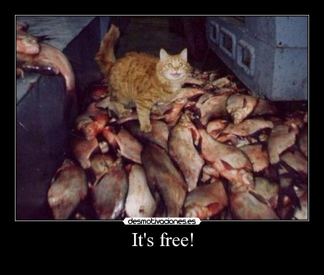 Its free! - 