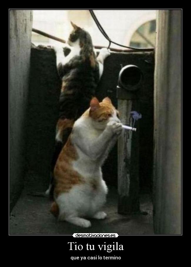 carteles tio avisa desmotivaciones