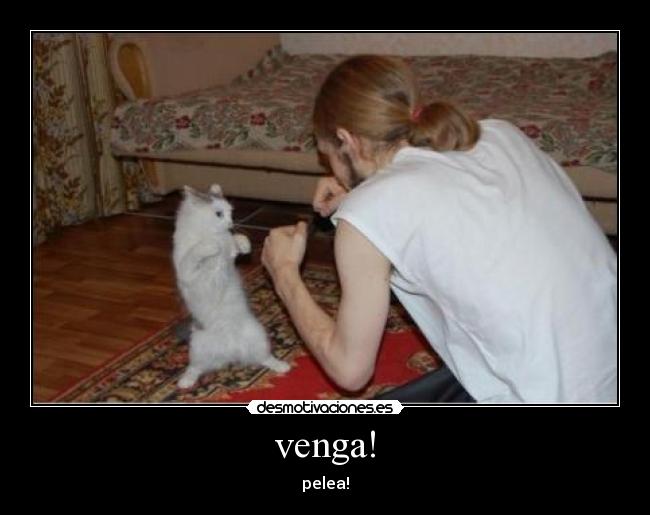 venga! - pelea!