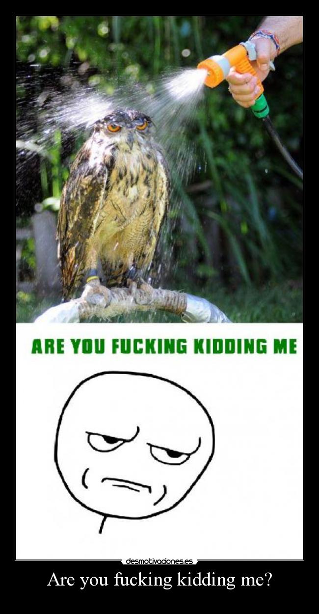 Are you fucking kidding me? -