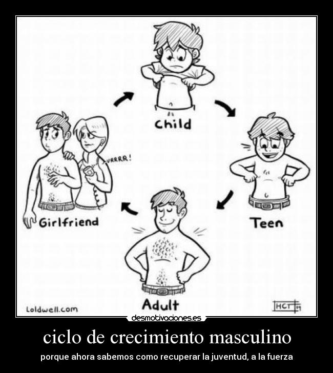 ciclo de crecimiento masculino - 