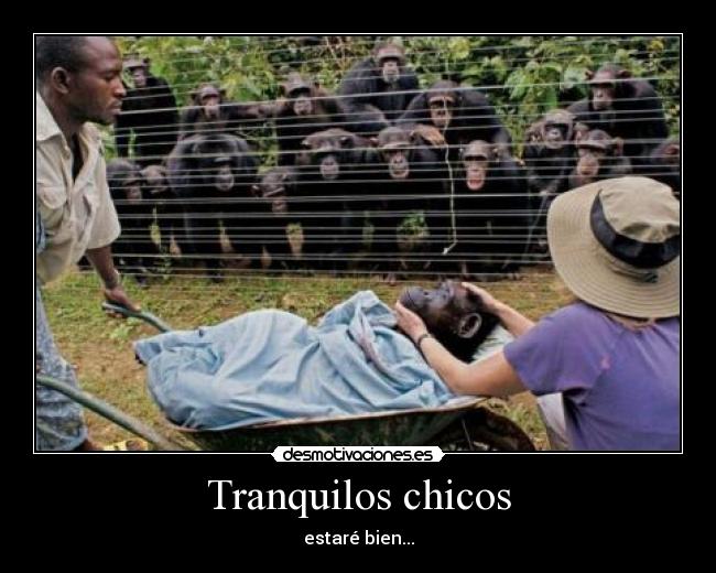 Tranquilos chicos - 