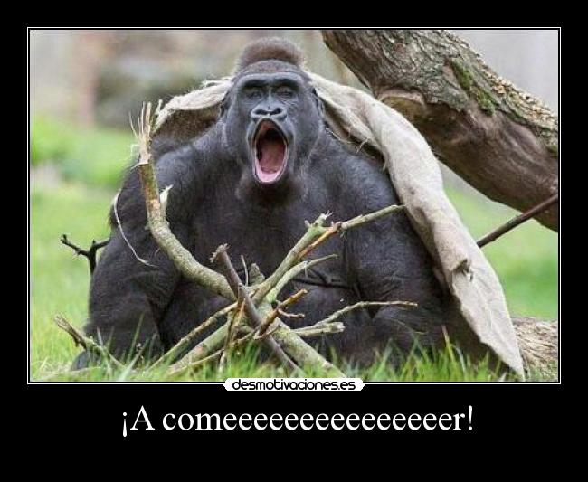 ¡A comeeeeeeeeeeeeeeer! - 