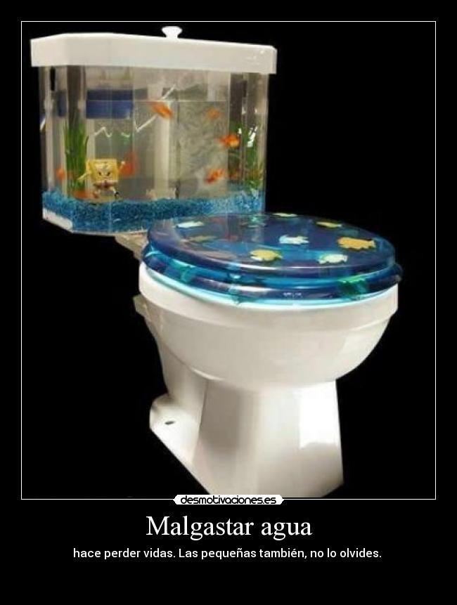 Malgastar agua - 