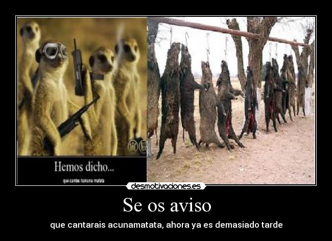 Se os aviso - que cantarais acunamatata, ahora ya es demasiado tarde