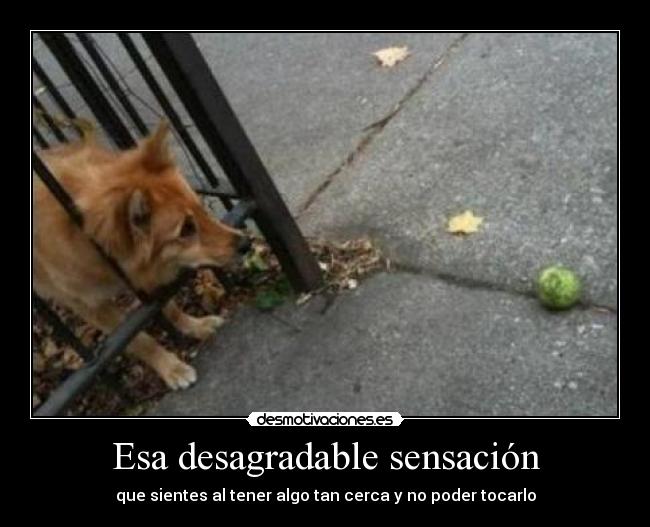 Esa desagradable sensación - 