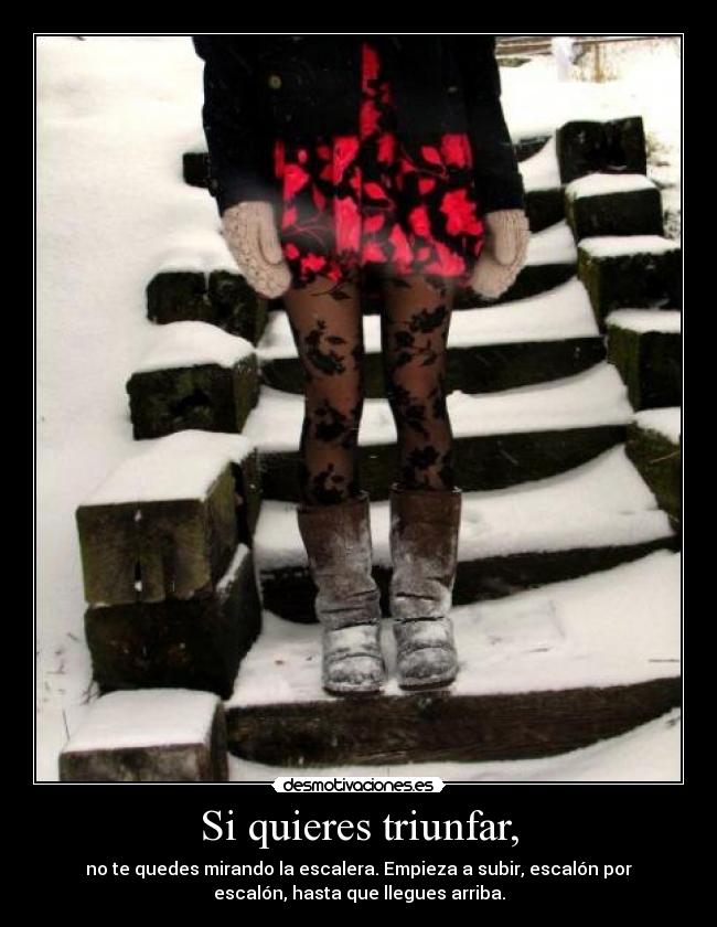 Si quieres triunfar, - no te quedes mirando la escalera. Empieza a subir, escalón por
escalón, hasta que llegues arriba.