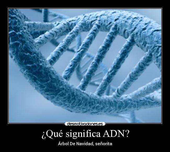 ¿Qué significa ADN? - 