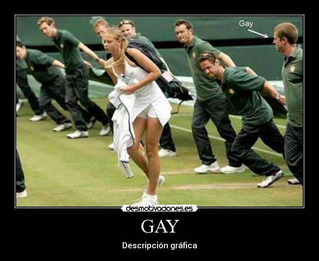 GAY - Descripción gráfica