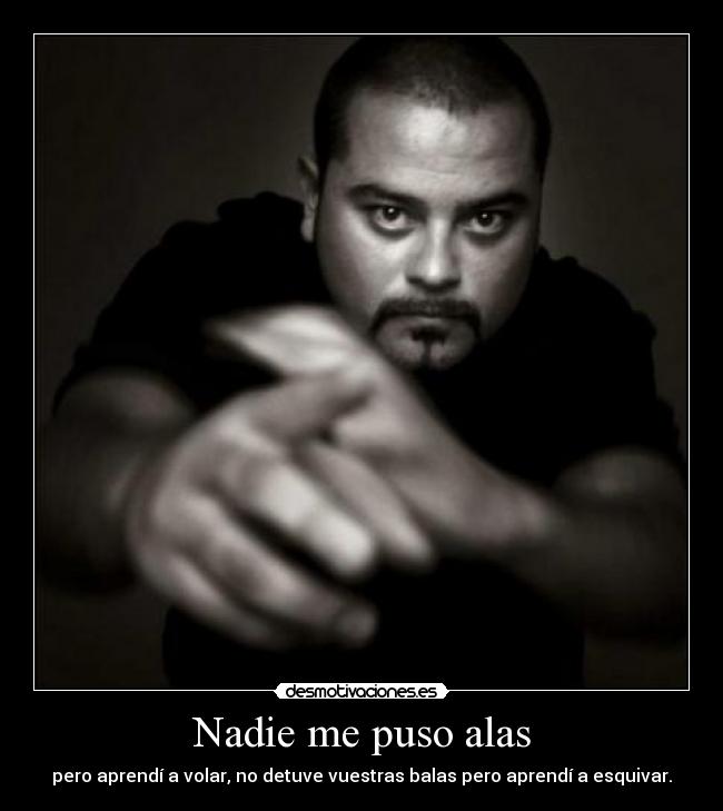 Nadie me puso alas - pero aprendí a volar, no detuve vuestras balas pero aprendí a esquivar.