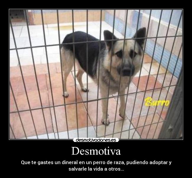 Desmotiva -
