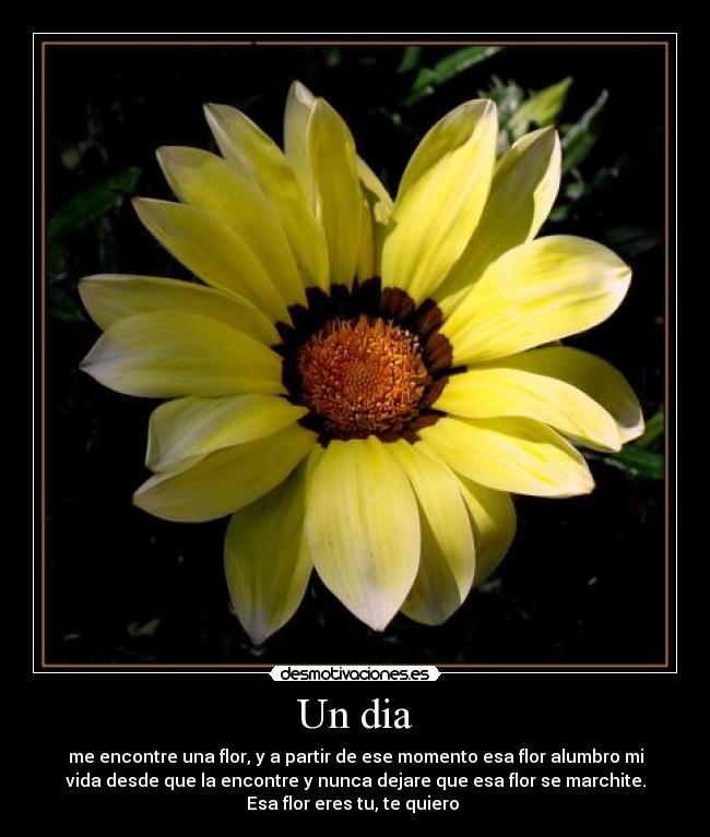 Un dia - me encontre una flor, y a partir de ese momento esa flor alumbro mi
vida desde que la encontre y nunca dejare que esa flor se marchite.
Esa flor eres tu, te quiero