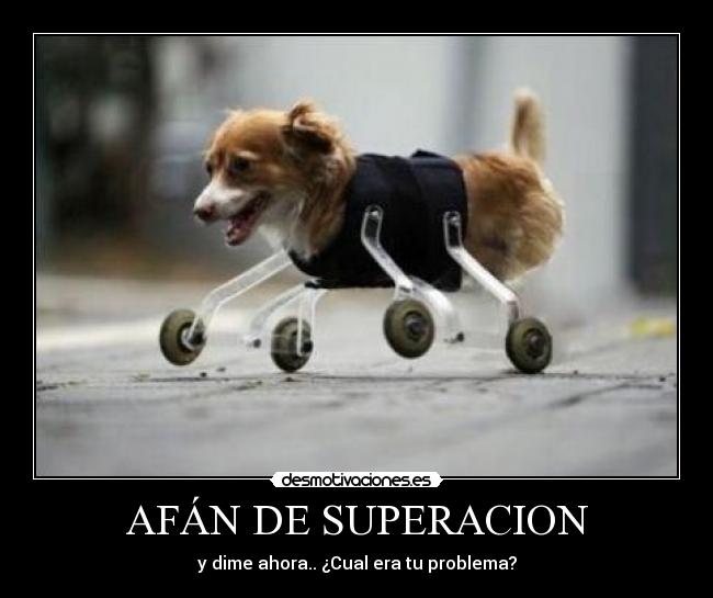 AFÁN DE SUPERACION - 