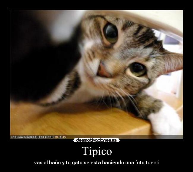 Típico -
