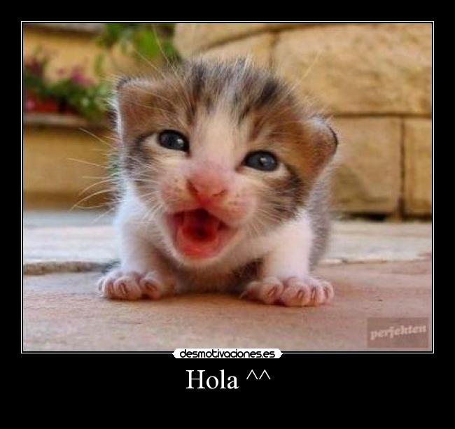 carteles que desmotivaciones