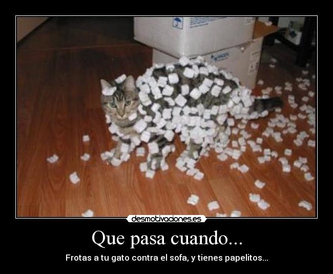 Que pasa cuando... - Frotas a tu gato contra el sofa, y tienes papelitos...