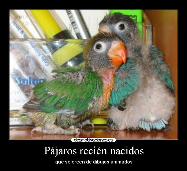 carteles wrhe desmotivaciones