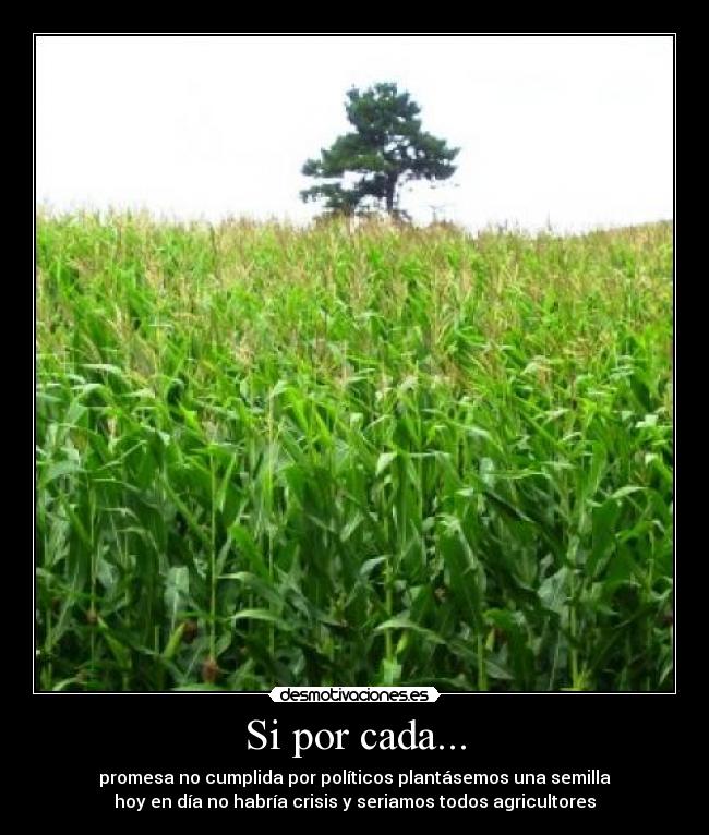 carteles promesasploticoscrisisagriculturasemilla desmotivaciones