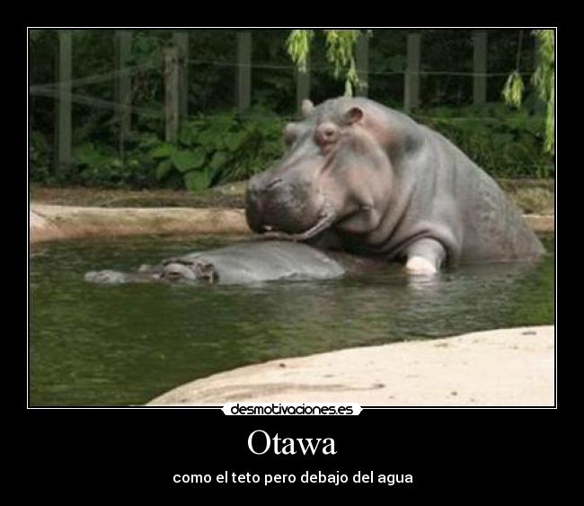 Otawa - como el teto pero debajo del agua