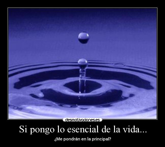 Si pongo lo esencial de la vida... - ¿Me pondrán en la principal?