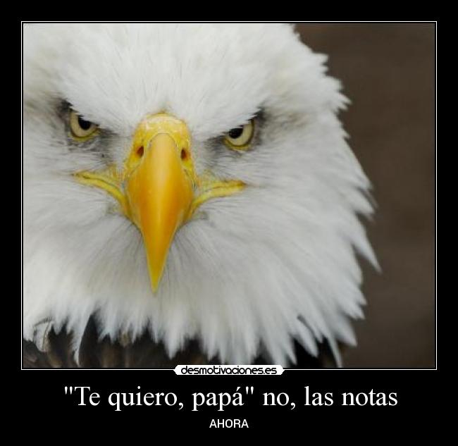 Te quiero, papá no, las notas - 