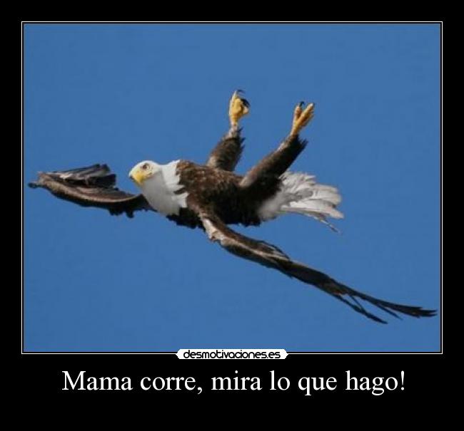 Mama corre, mira lo que hago! -